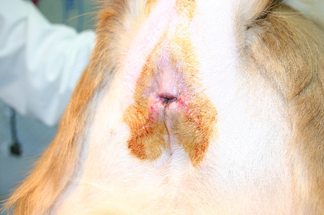 ファイル 1122-3.jpg