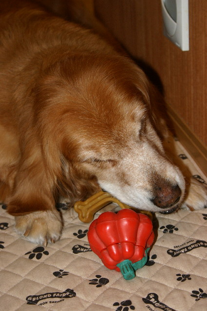 ファイル 1122-5.jpg