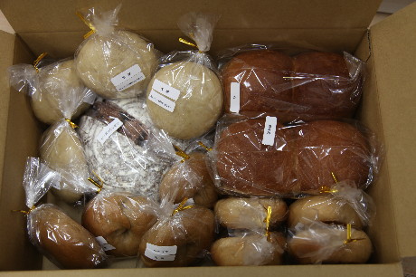 ファイル 1123-1.jpg