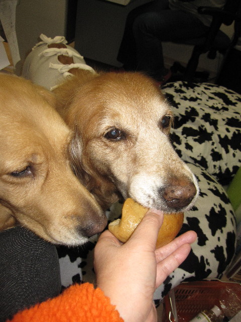 ファイル 1123-2.jpg