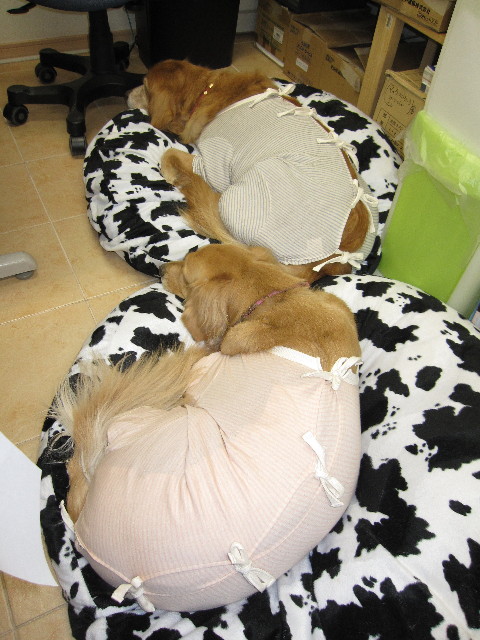 ファイル 1123-5.jpg