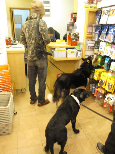 ファイル 1126-2.jpg