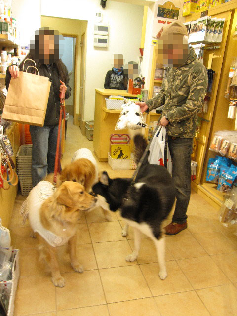 ファイル 1126-4.jpg