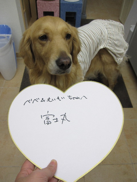 ファイル 1126-5.jpg