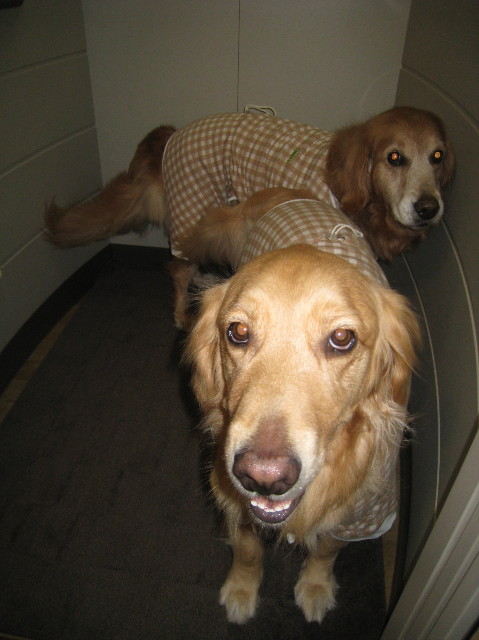 ファイル 1127-2.jpg