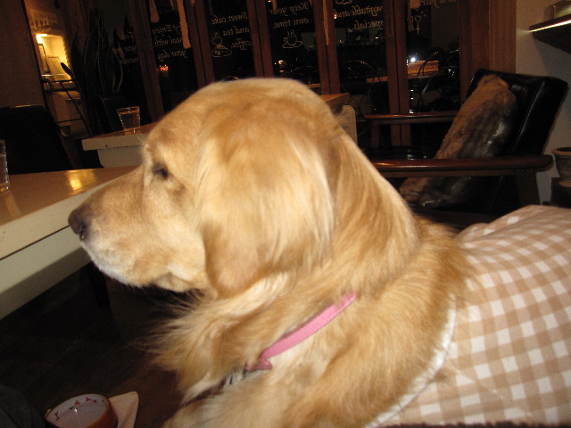 ファイル 1127-5.jpg