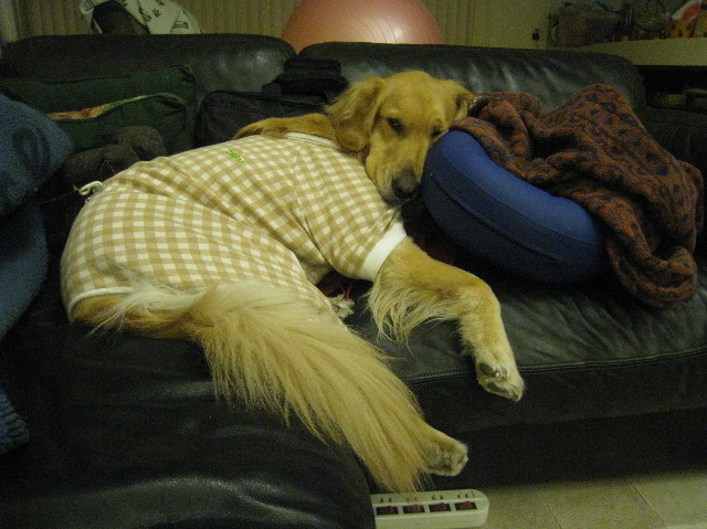 ファイル 1128-3.jpg