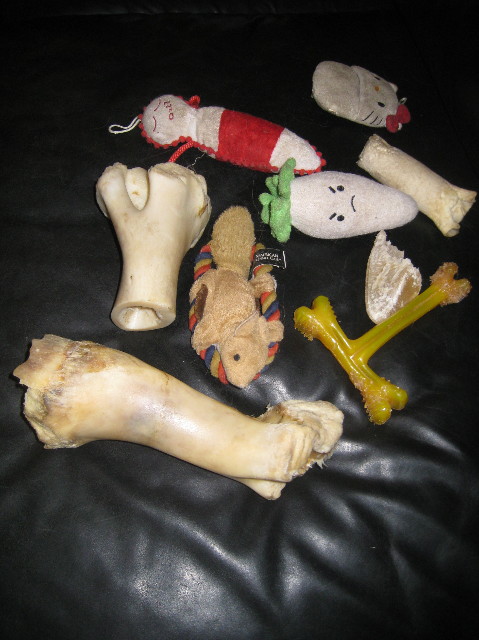 ファイル 1128-4.jpg