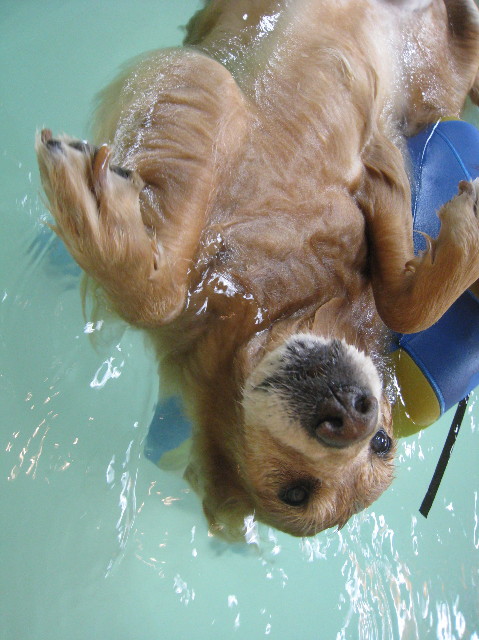 ファイル 1129-2.jpg