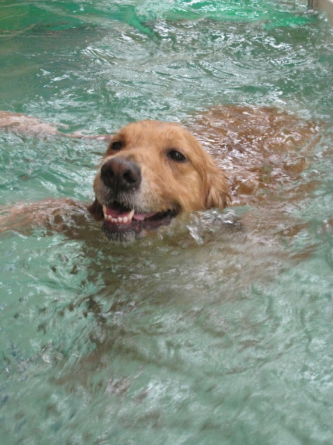 ファイル 1129-4.jpg