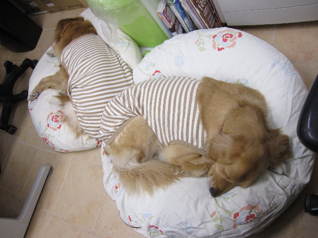 ファイル 1130-3.jpg