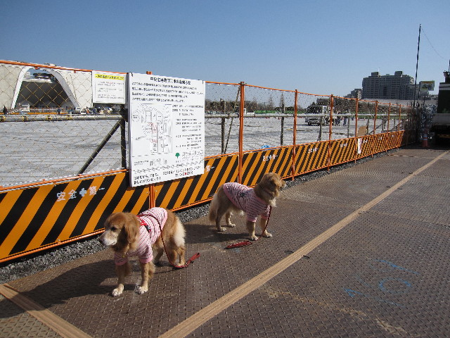 ファイル 1133-3.jpg