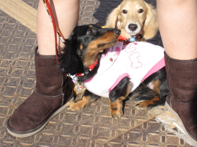 ファイル 1133-4.jpg