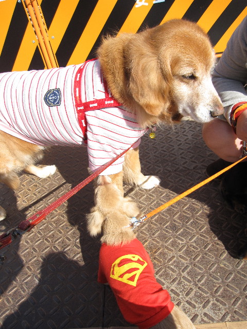 ファイル 1133-5.jpg