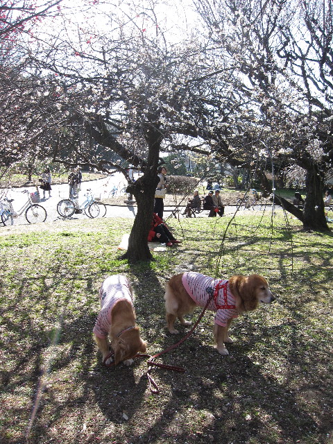 ファイル 1134-4.jpg