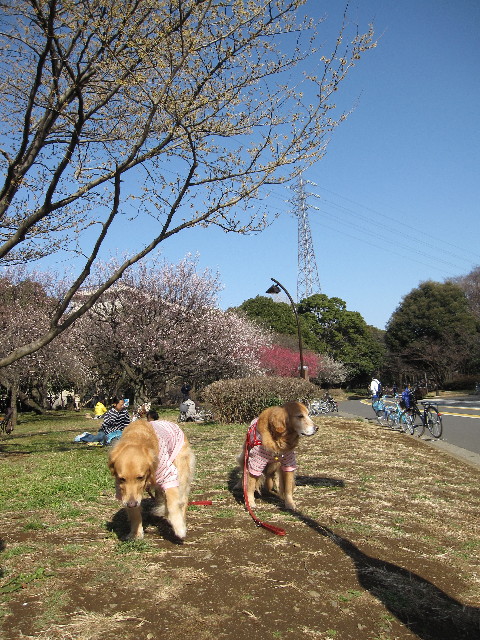 ファイル 1134-5.jpg