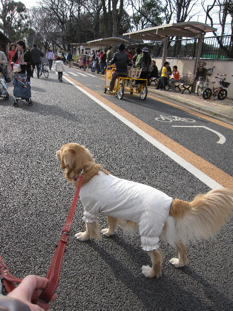 ファイル 1135-3.jpg