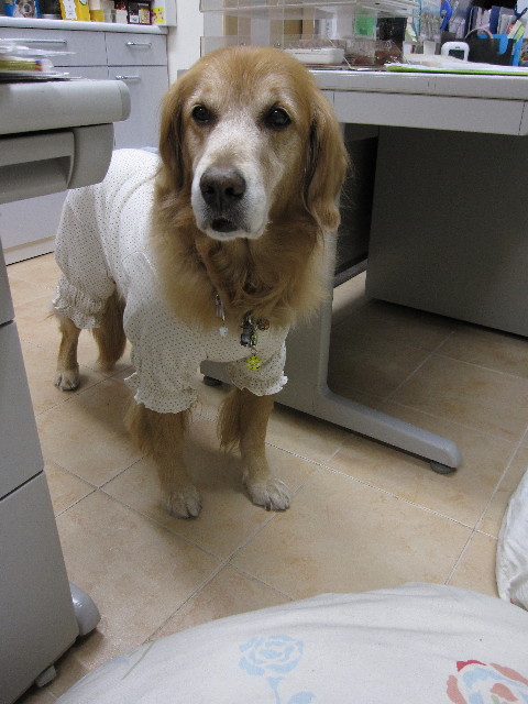 ファイル 1136-2.jpg