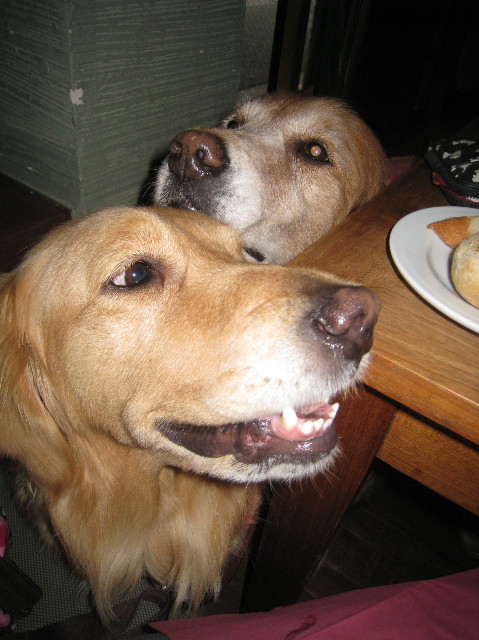 ファイル 1137-1.jpg