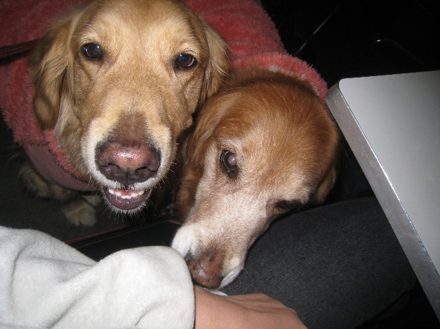 ファイル 1137-2.jpg