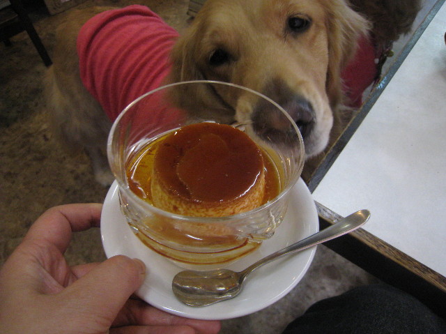 ファイル 1137-4.jpg