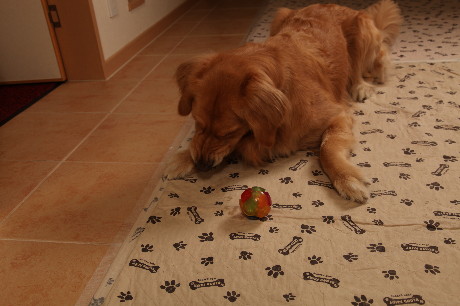 ファイル 1138-5.jpg