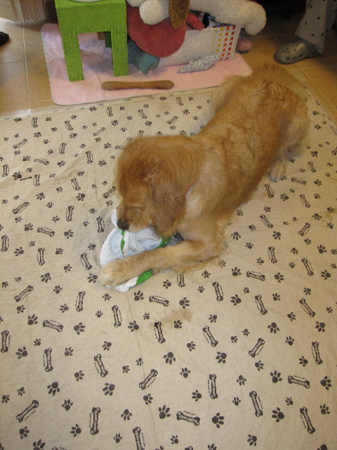 ファイル 1139-3.jpg