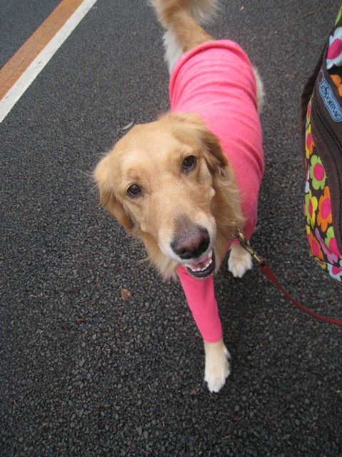 ファイル 1139-5.jpg