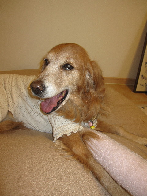 ファイル 1140-4.jpg