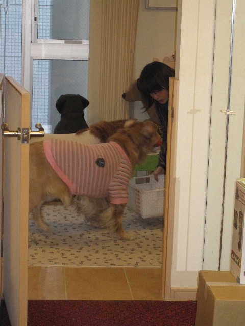 ファイル 1141-1.jpg