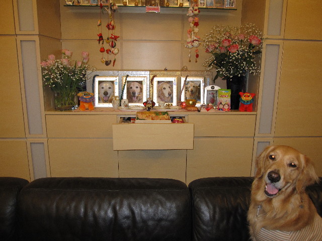 ファイル 1143-1.jpg