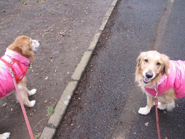 ファイル 1144-2.jpg