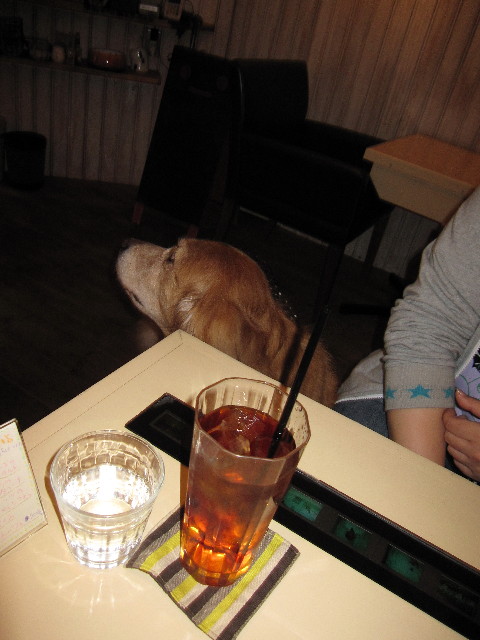 ファイル 1148-2.jpg