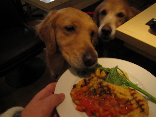 ファイル 1148-3.jpg