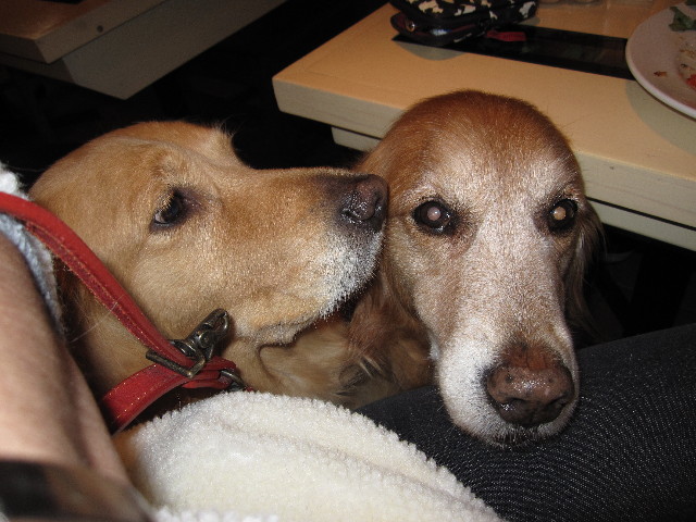 ファイル 1148-4.jpg