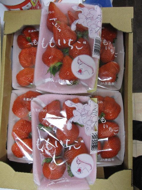 ファイル 1148-5.jpg