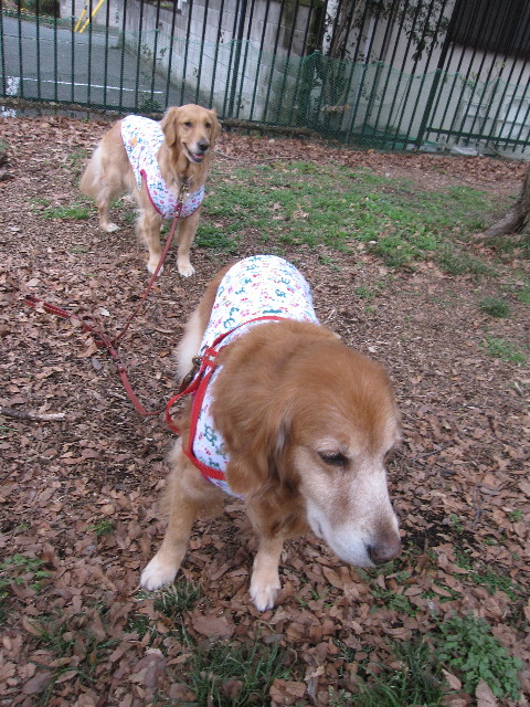 ファイル 1149-3.jpg