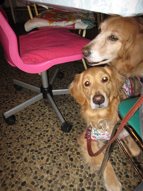 ファイル 1149-4.jpg