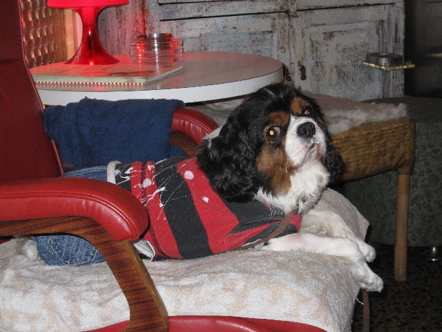 ファイル 1149-5.jpg