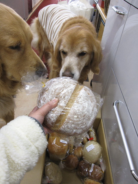 ファイル 1152-1.jpg