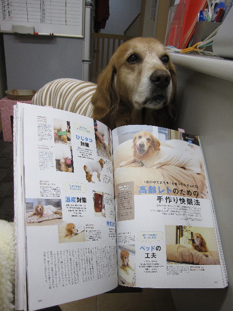 ファイル 1152-5.jpg