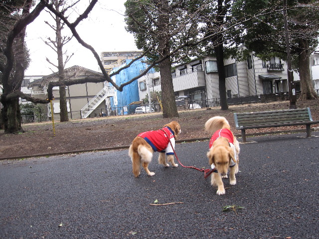 ファイル 1154-2.jpg