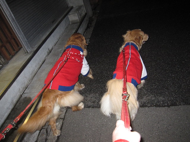 ファイル 1155-1.jpg