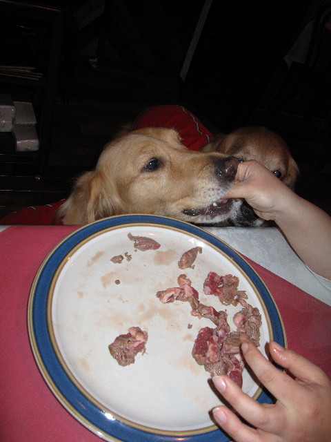 ファイル 1155-4.jpg