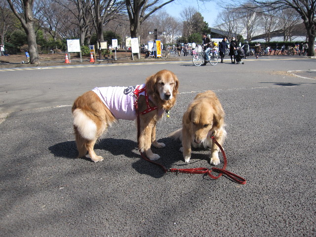 ファイル 1156-1.jpg