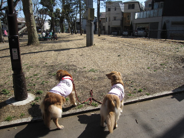 ファイル 1156-3.jpg