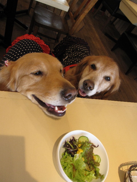 ファイル 1158-5.jpg