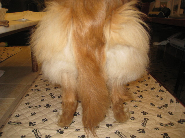 ファイル 1159-1.jpg