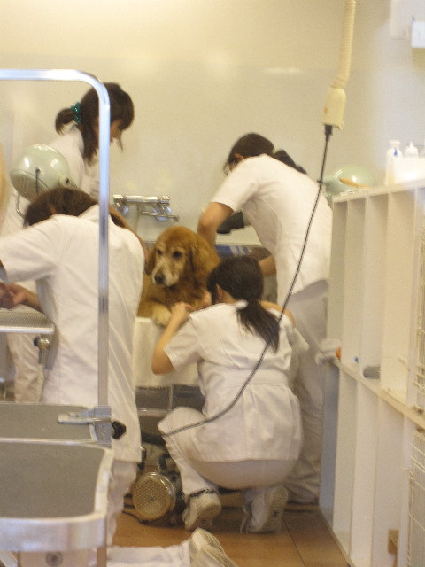 ファイル 1159-3.jpg