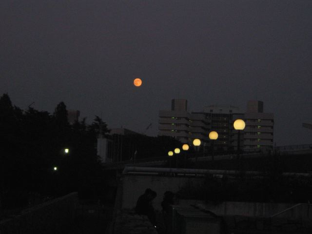 ファイル 116-1.jpg